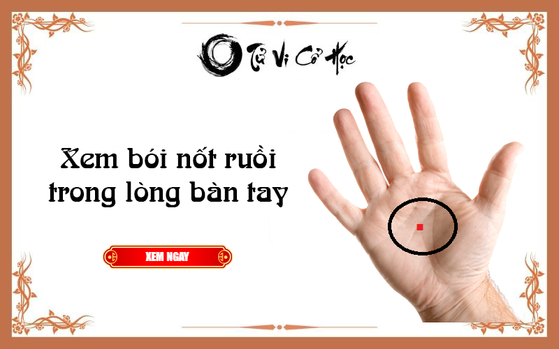 Xem bói nốt ruồi trong lòng bàn tay chính xác nhất