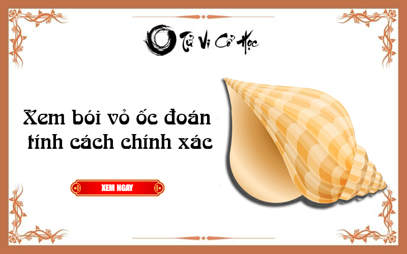 Xem bói vỏ ốc đoán tính cách chính xác - Tử Vi Cổ Học