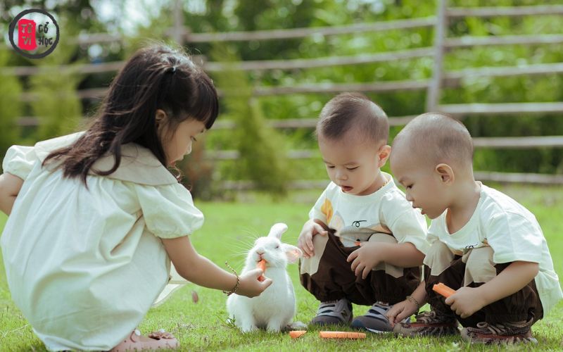 Bố mẹ tham khảo khi đặt tên Con sinh năm 2025 | Tử Vi Cổ Học