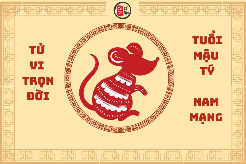 Vận trình tử vi trọn đời Mậu Tý nam mạng chi tiết | Tử Vi Cổ Học