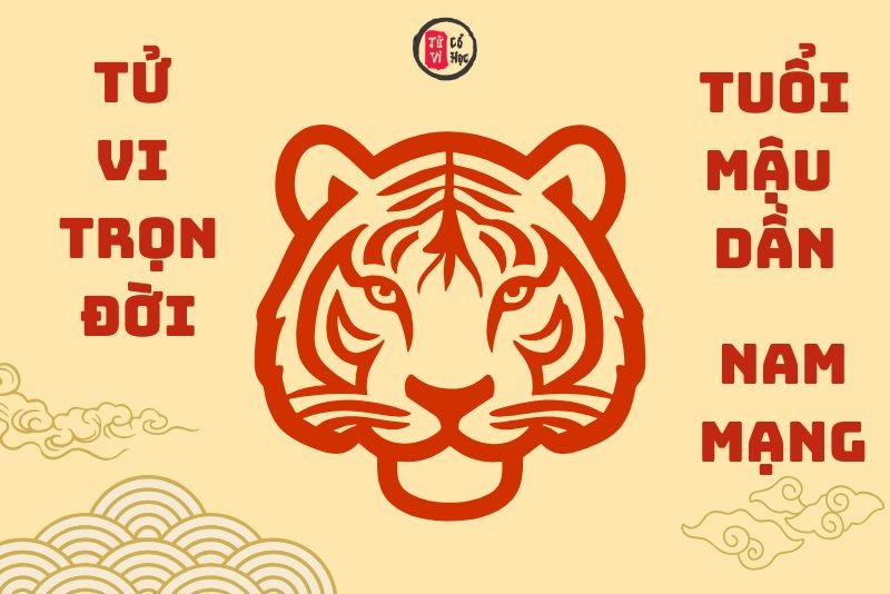 Vận trình tử vi trọn đời Mậu Dần nam mạng chi tiết | Tử Vi Cổ Học