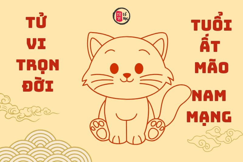 Vận trình tử vi trọn đời Ất Mão nam mạng chi tiết | Tử Vi Cổ Học