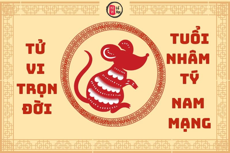 Vận trình tử vi trọn đời Nhâm Tý nam mạng chi tiết | Tử Vi Cổ Học