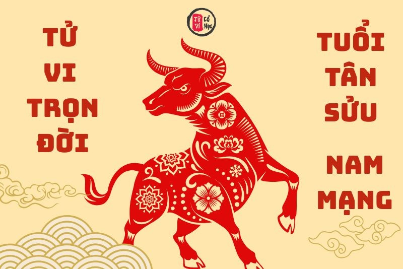 Vận trình tử vi trọn đời Tân Sửu nam mạng chi tiết | Tử Vi Cổ Học