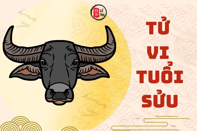 Xem bói tử vi tuổi Sửu | Tử Vi Cổ Học