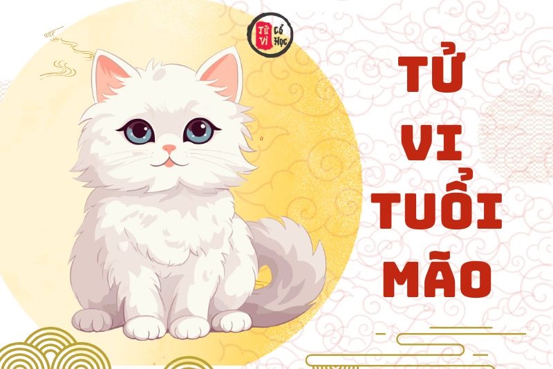 Xem bói tử vi tuổi Mão | Tử Vi Cổ Học