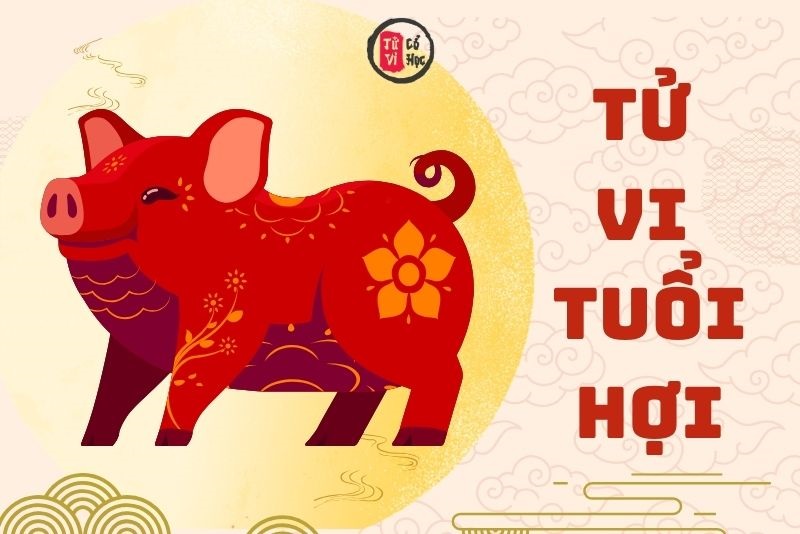 Xem bói tử vi tuổi Hợi | Tử Vi Cổ Học