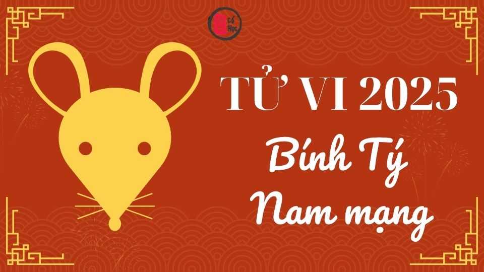 Tử vi Bính Tý 2025 nam mạng | Tử Vi Cổ Học