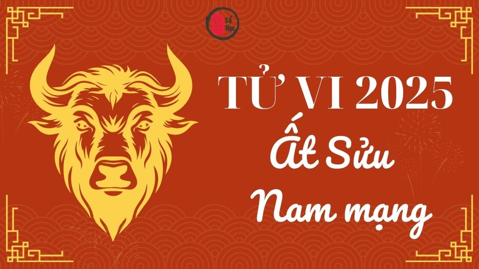 Tử vi Ất Sửu 2025 nam mạng | Tử Vi Cổ Học