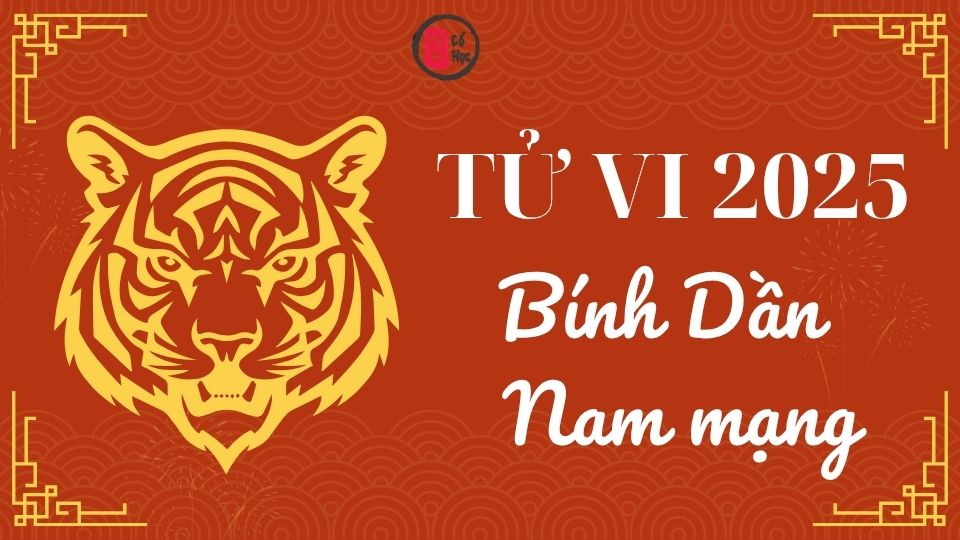 Tử vi Bính Dần 2025 nam mạng | Tử Vi Cổ Học