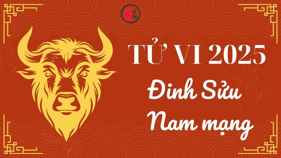 Tử vi Đinh Sửu 2025 nam mạng | Tử Vi Cổ Học