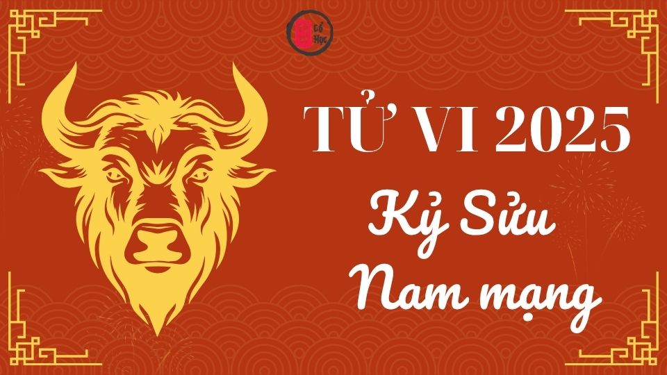 Tử vi Kỷ Sửu 2025 nam mạng | Tử Vi Cổ Học