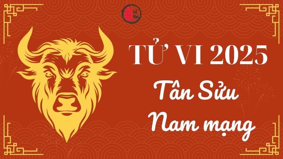 Tử vi Tân Sửu 2025 nam mạng | Tử Vi Cổ Học 