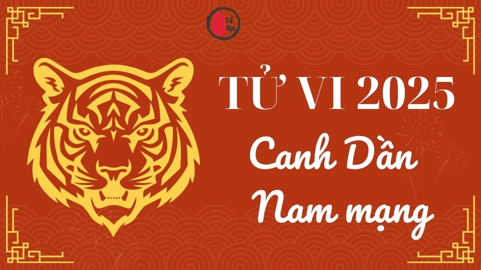 Tử vi Canh Dần 2025 nam mạng | Tử Vi Cổ Học