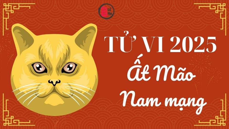 Tử vi Ất Mão 2025 nam mạng | Tử Vi Cổ Học