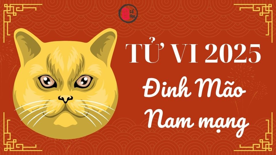 Tử vi Đinh Mão 2025 nam mạng | Tử Vi Cổ Học