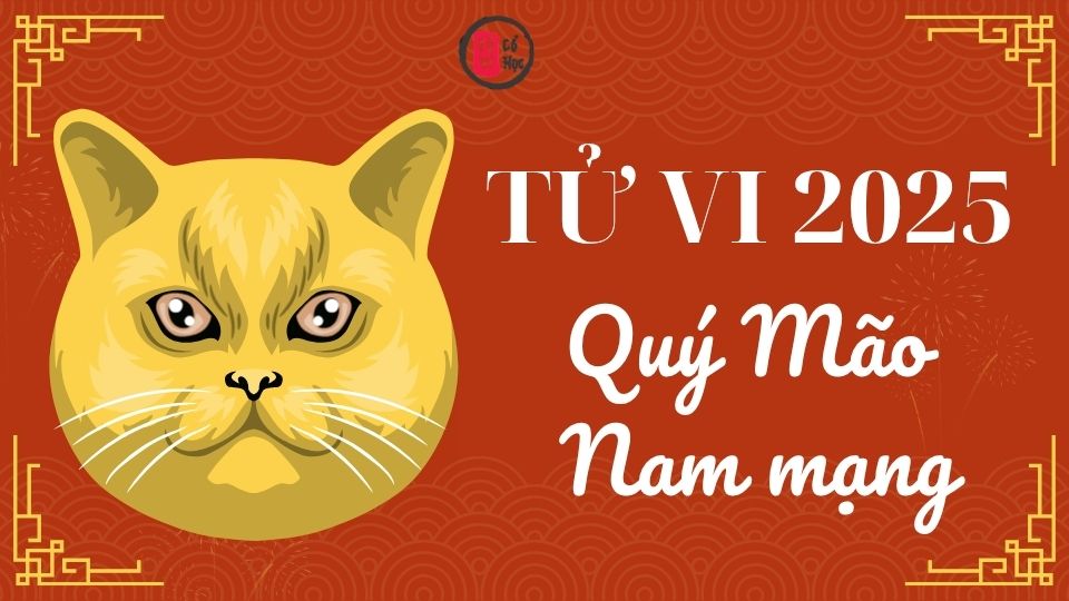 Tử vi Quý Mão 2025 nam mạng | Tử Vi Cổ Học