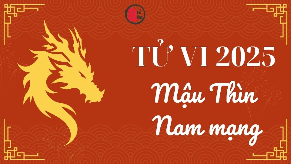 Tử vi Mậu Thìn 2025 nam mạng | Tử Vi Cổ Học  