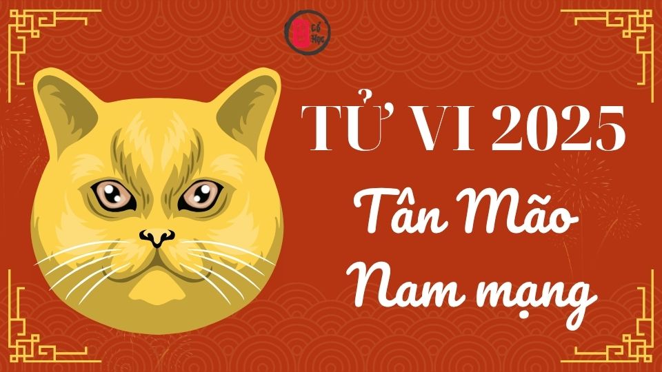 Tử vi Tân Mão 2025 nam mạng | Tử Vi Cổ Học  