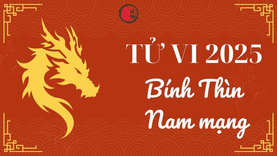 Tử vi Bính Thìn 2025 nam mạng | Tử Vi Cổ Học  