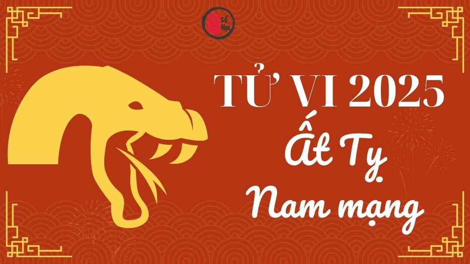 Tử vi Ất Tỵ 2025 nam mạng | Tử Vi Cổ Học  