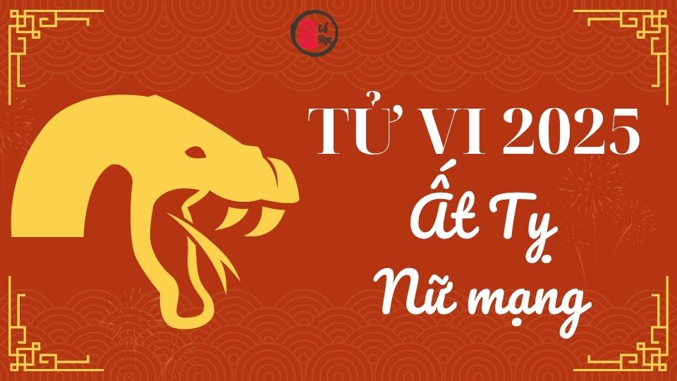 Tử vi Ất Tỵ 2025 nữ mạng | Tử Vi Cổ Học  