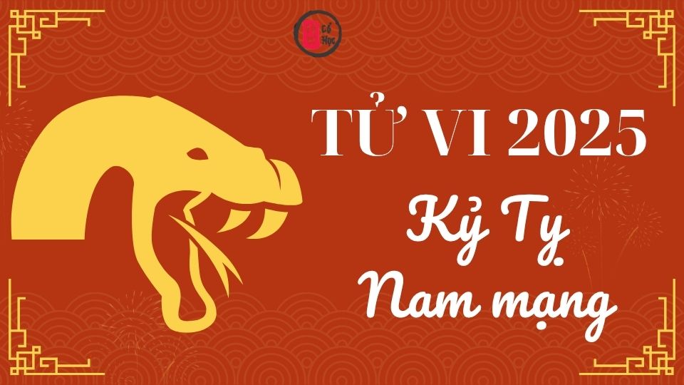 Tử vi Kỷ Tỵ 2025 nam mạng | Tử Vi Cổ Học  