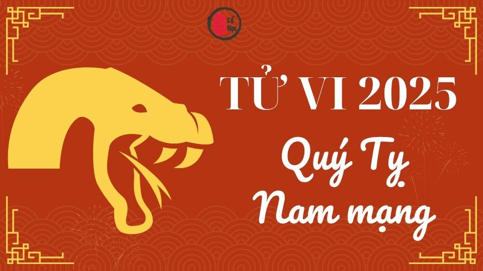Tử vi Quý Tỵ 2025 nam mạng | Tử Vi Cổ Học  