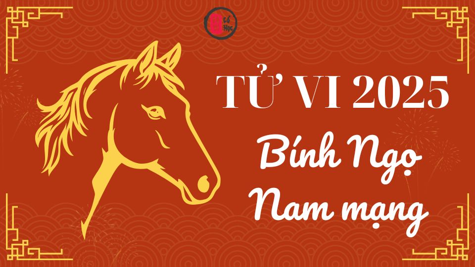 Tử vi Bính Ngọ 2025 nam mạng | Tử Vi Cổ Học