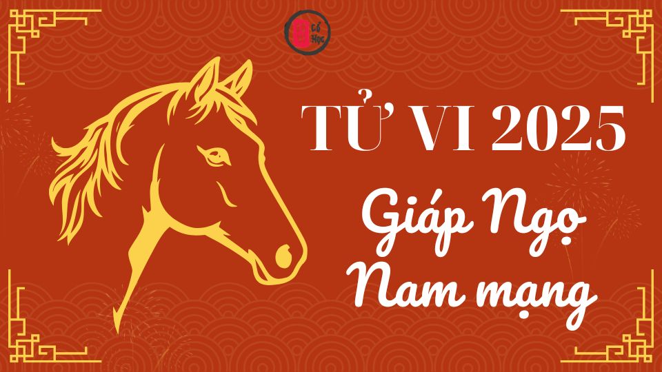 Tử vi Giáp Ngọ 2025 nam mạng | Tử Vi Cổ Học