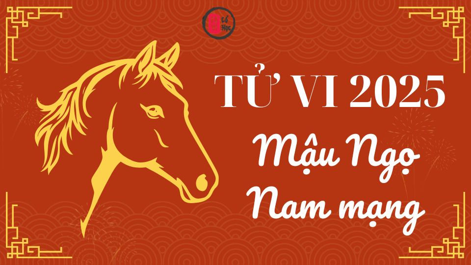 Tử vi Mậu Ngọ 2025 nam mạng | Tử Vi Cổ Học