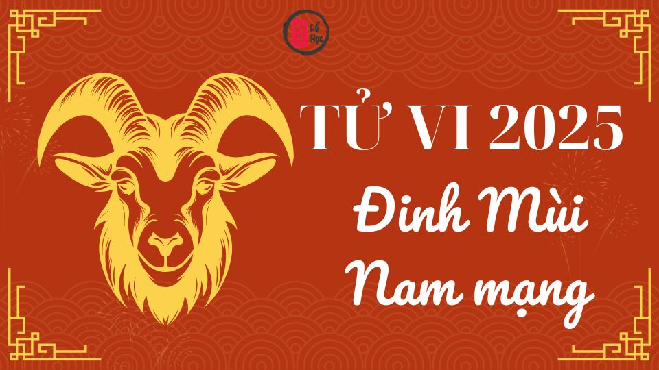 Tử vi Đinh Mùi 2025 nam mạng | Tử Vi Cổ Học
