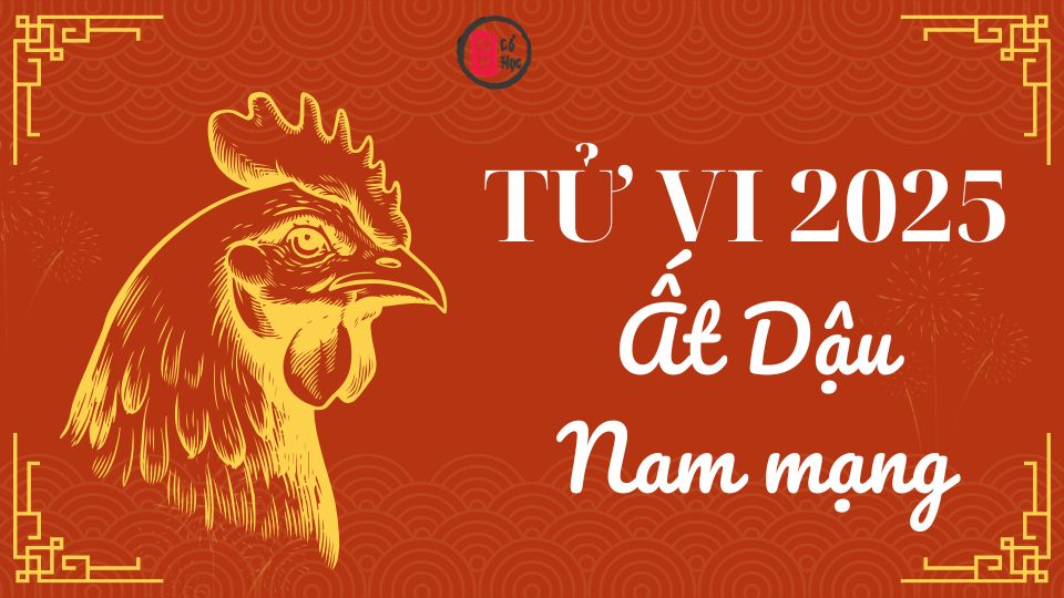 Tử vi Ất Dậu 2025 nam mạng | Tử Vi Cổ Học
