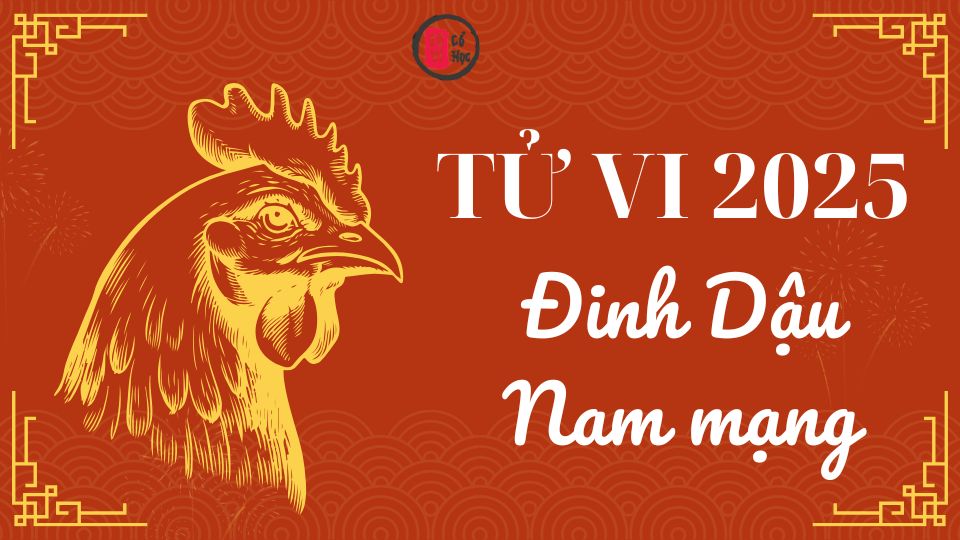 Tử vi Đinh Dậu 2025 nam mạng | Tử Vi Cổ Học