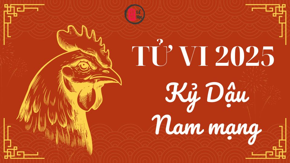 Tử vi Kỷ Dậu 2025 nam mạng | Tử Vi Cổ Học