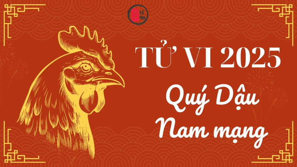 Tử vi Quý Dậu 2025 nam mạng | Tử Vi Cổ Học