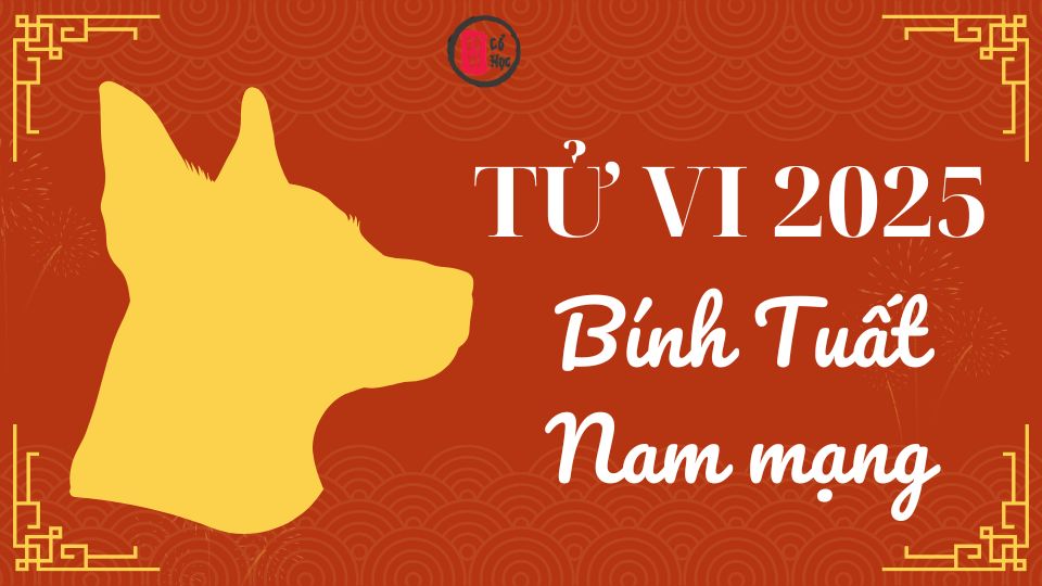 Tử vi Bính Tuất 2025 nam mạng | Tử Vi Cổ Học
