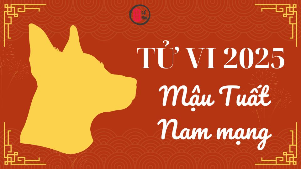 Tử vi Mậu Tuất 2025 nam mạng | Tử Vi Cổ Học