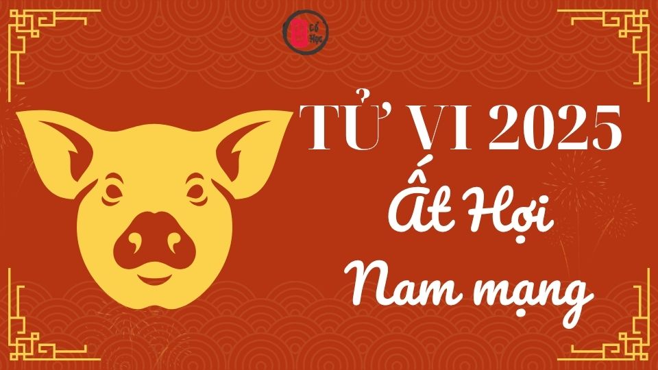 Tử vi Ất Hợi 2025 nam mạng | Tử Vi Cổ Học