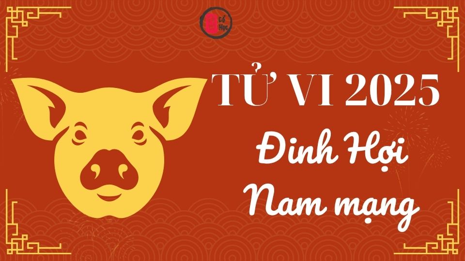 Tử vi Đinh Hợi 2025 nam mạng | Tử Vi Cổ Học