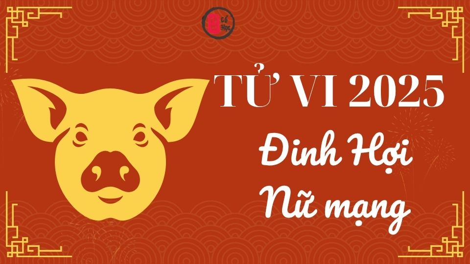 Tử vi Đinh Hợi 2025 nữ mạng | Tử Vi Cổ Học