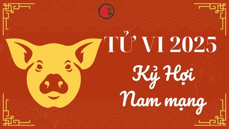 Tử vi Kỷ Hợi 2025 nam mạng | Tử Vi Cổ Học