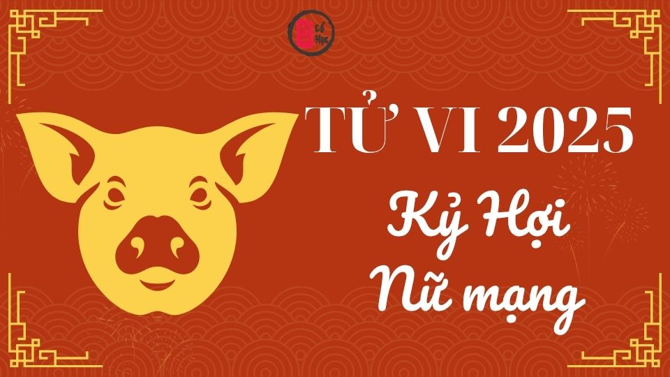 Tử vi Kỷ Hợi 2025 nữ mạng | Tử Vi Cổ Học