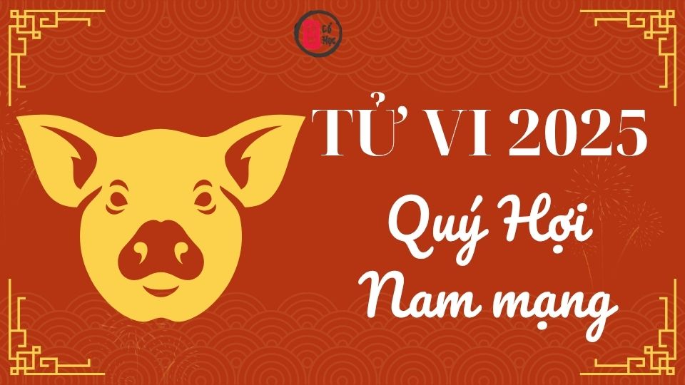 Tử vi Quý Hợi 2025 nam mạng | Tử Vi Cổ Học