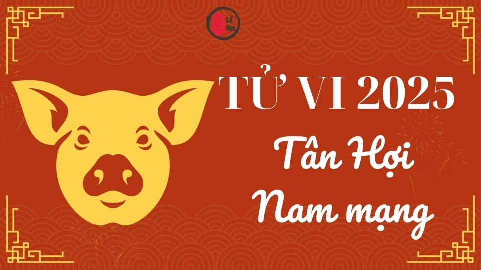 Tử vi Tân Hợi 2025 nam mạng | Tử Vi Cổ Học