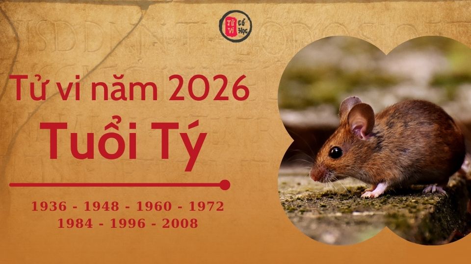 Tử vi 2026 tuổi Tý sơ lược | Tử Vi Cổ Học