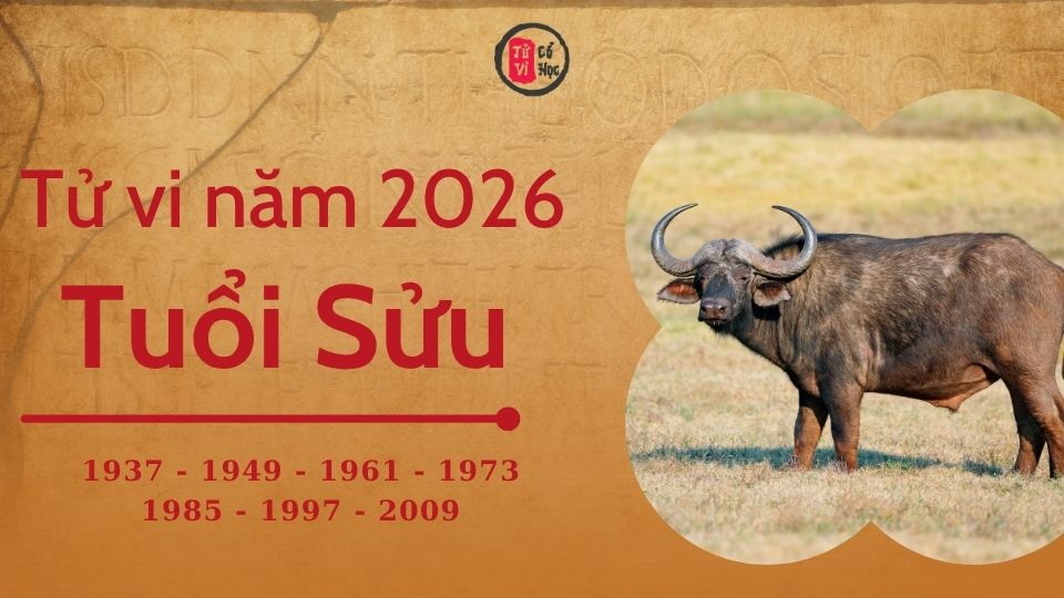 Tử vi 2026 tuổi Sửu sơ lược | Tử Vi Cổ Học