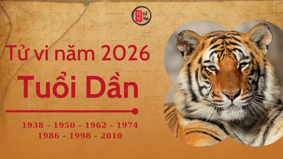 Tử vi 2026 tuổi Dần sơ lược | Tử Vi Cổ Học