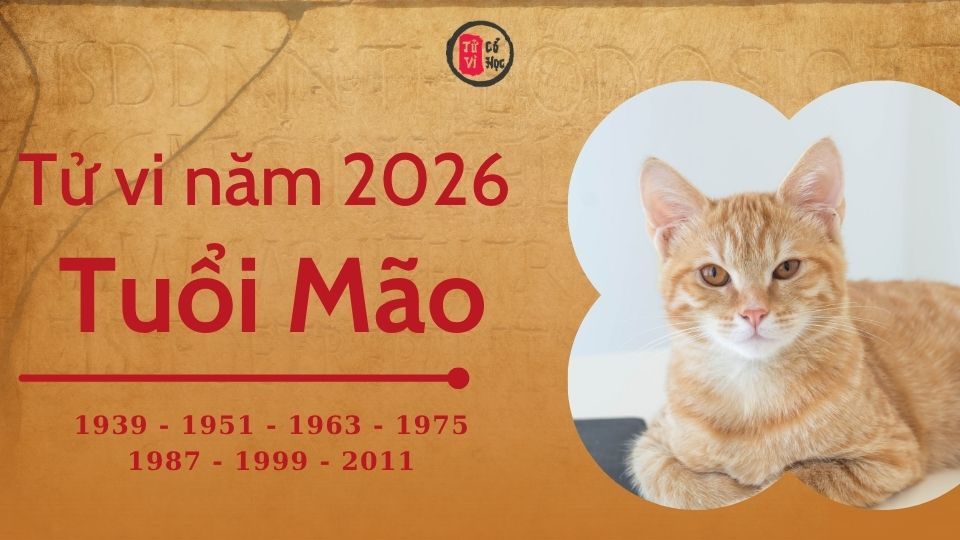 Tử vi 2026 tuổi Mão sơ lược | Tử Vi Cổ Học