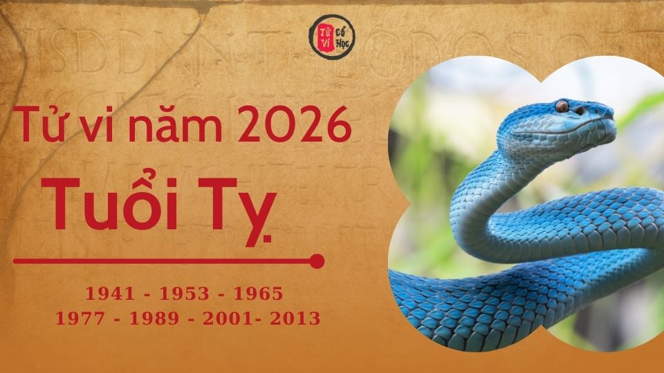 Tử vi 2026 tuổi Tỵ sơ lược | Tử Vi Cổ Học